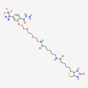 molecular formula C31H45F3N8O7S B12093210 2-[2-[2-[2-[6-(Biotinylaminohexanoyl]aminoethoxy]ethoxy]ethoxy]-4-[3-(trifluoromethyl)-3H-diazirin-3-yl]benzoicAcidHydrazide 