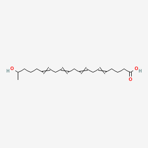 molecular formula C20H32O3 B1209360 19(R)-Hete 