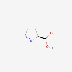 molecular formula C5H7NO2 B1209449 (S)-1-pyrroline-5-carboxylate CAS No. 64199-88-8