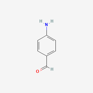 molecular formula C7H7NO B1209532 4-氨基苯甲醛 CAS No. 556-18-3