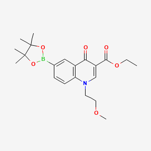 molecular formula C21H28BNO6 B12095676 Ethyl 1-(2-methoxyethyl)-4-oxo-6-(4,4,5,5-tetramethyl-1,3,2-dioxaborolan-2-yl)-1,4-dihydroquinoline-3-carboxylate 