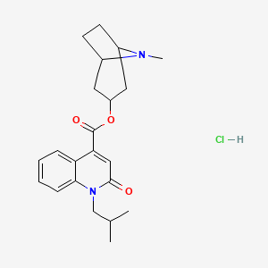 endo-(8-Methyl-8-aza-bicyclo(3.2.1)oct-3-yl)-1-isobutyl-2-oxo-1,2-dihydro-4-quinolinecarboxylate hydrochloride