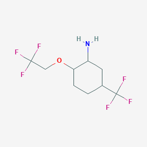 molecular formula C9H13F6NO B12097315 2-(2,2,2-Trifluoroethoxy)-5-(trifluoromethyl)cyclohexan-1-amine 