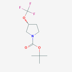 molecular formula C10H16F3NO3 B12099627 tert-butyl (3R)-3-(trifluoromethoxy)pyrrolidine-1-carboxylate 