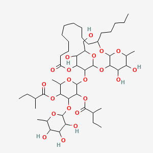 molecular formula C50H86O21 B12100177 [2-Methyl-5-(2-methylbutanoyloxy)-6-[[4,5,23-trihydroxy-24-(hydroxymethyl)-6-methyl-20-oxo-10-pentyl-2,7,9,21,25-pentaoxatricyclo[20.3.1.03,8]hexacosan-26-yl]oxy]-4-(3,4,5-trihydroxy-6-methyloxan-2-yl)oxyoxan-3-yl] 2-methylbutanoate 