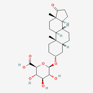 molecular formula C25H38O8 B1210059 6-[(10,13-Dimethyl-17-oxo-1,2,3,4,5,6,7,8,9,11,12,14,15,16-tetradecahydrocyclopenta[a]phenanthren-3-yl)oxy]-3,4,5-trihydroxyoxane-2-carboxylic acid CAS No. 3602-09-3