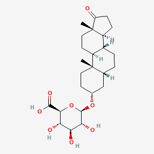 molecular formula C25H38O8 B1210059 Etiocholanolone glucuronide CAS No. 3602-09-3