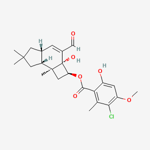 molecular formula C24H29ClO6 B1210124 [(2S,2aR,4aR,7aR,7bS)-3-formyl-2a-hydroxy-6,6,7b-trimethyl-1,2,4a,5,7,7a-hexahydrocyclobuta[e]inden-2-yl] 3-chloro-6-hydroxy-4-methoxy-2-methylbenzoate CAS No. 96684-80-9