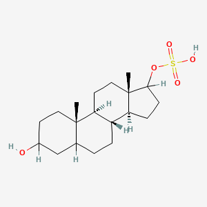 Androstane-3,17-diol 17-sulfate