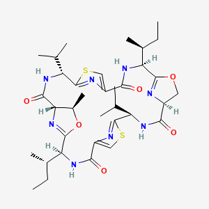 molecular formula C35H50N8O6S2 B1210234 帕特拉米德A CAS No. 81120-73-2