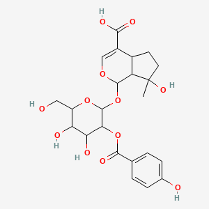 molecular formula C23H28O12 B12102525 2'-p-Hydroxybenzoyl mussaenosidic acid 