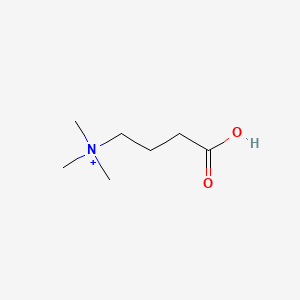 molecular formula C7H16NO2+ B1210274 4-Trimethylammoniobutanoate CAS No. 10329-41-6