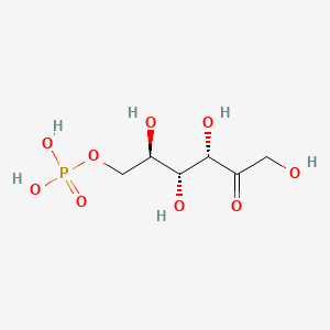 molecular formula C6H13O9P B1210287 Fructose-6-phosphate CAS No. 643-13-0