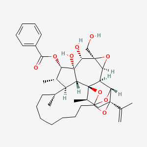 molecular formula C37H50O9 B1210330 Pimelea factor P2 