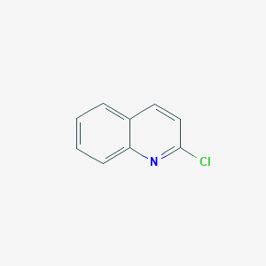 molecular formula C9H6ClN B121035 2-氯喹啉 CAS No. 612-62-4