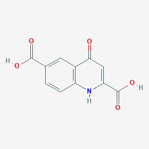 molecular formula C11H7NO5 B12103727 4-Oxo-1,4-dihydroquinoline-2,6-dicarboxylic acid 