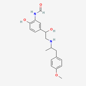 molecular formula C19H24N2O4 B1210424 Arformoterol CAS No. 73573-87-2