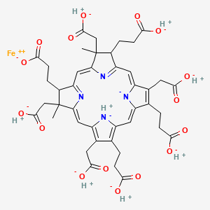 molecular formula C42H36FeN4O16-10 B1210439 Octacarboxylate iron-tetrahydroporphyrin CAS No. 52553-42-1