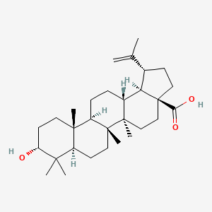 molecular formula C30H48O3 B1210545 Epibetulinic acid 
