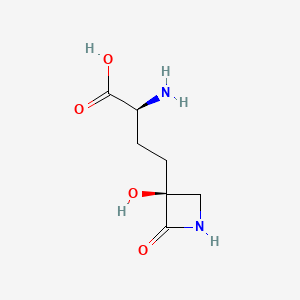 molecular formula C7H12N2O4 B1210633 Tabtoxinine beta-lactam 