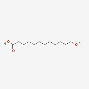 molecular formula C13H26O3 B1210637 12-Methoxydodecanoic acid CAS No. 92169-28-3