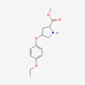 molecular formula C14H19NO4 B12106936 Methyl 4-(4-ethoxyphenoxy)pyrrolidine-2-carboxylate 