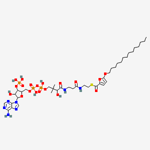 molecular formula C40H66N7O19P3S B1210705 5-(Tetradecyloxy)-2-furoyl-coenzyme A CAS No. 71865-60-6