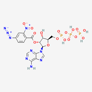 3'(2')-O-(2-Nitro-4-azidobenzoyl)adenosine 5'-triphosphate