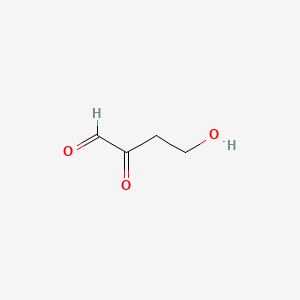 molecular formula C4H6O3 B1210844 4-hydroxy-2-oxobutanal CAS No. 28119-61-1