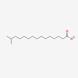 molecular formula C16H32O2 B1210863 14-甲基十五烷酸 CAS No. 4669-02-7