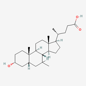 molecular formula C25H42O3 B1211034 3-Hydroxy-7-methylcholanoic acid CAS No. 96648-30-5