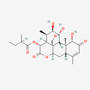 molecular formula C25H34O9 B1211190 [(1S,4R,5R,6R,7S,8R,11R,13S,17S,18S,19R)-4,5,17-trihydroxy-6,14,18-trimethyl-9,16-dioxo-3,10-dioxapentacyclo[9.8.0.01,7.04,19.013,18]nonadec-14-en-8-yl] 2-methylbutanoate 