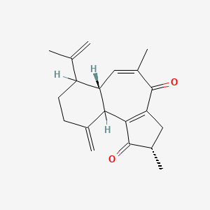 molecular formula C20H24O2 B1211218 Curcusone B CAS No. 103667-52-3