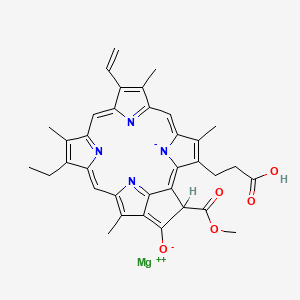 Protochlorophyllide a