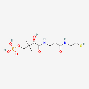 molecular formula C11H23N2O7PS B1211885 4'-Phosphopantetheine CAS No. 2226-71-3