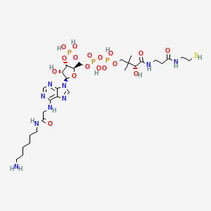 [[(2R,3S,4R,5R)-5-[6-[[2-(6-aminohexylamino)-2-oxoethyl]amino]purin-9-yl]-4-hydroxy-3-phosphonooxyoxolan-2-yl]methoxy-hydroxyphosphoryl] [(3R)-3-hydroxy-2,2-dimethyl-4-oxo-4-[[3-oxo-3-(2-sulfanylethylamino)propyl]amino]butyl] hydrogen phosphate