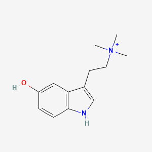 molecular formula C13H19N2O+ B1211988 Cinobufotenine CAS No. 60657-23-0