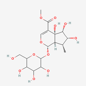 Pulchelloside II