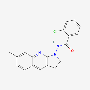 molecular formula C19H16ClN3O B12125102 2-chloro-N-(7-methyl-2,3-dihydro-1H-pyrrolo[2,3-b]quinolin-1-yl)benzamide 