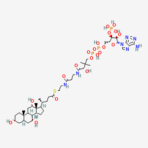 molecular formula C45H74N7O20P3S B1212544 Choloyl-CoA 