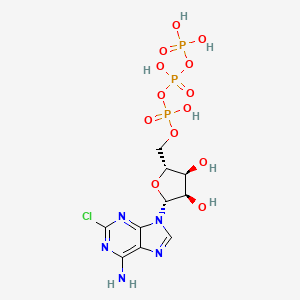B1212568 2-Chloro-ATP CAS No. 49564-60-5