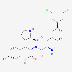 molecular formula C27H33Cl2FN4O4 B1212569 N-(3-(Bis(2-chloroethyl)amino)-N-L-prolyl-L-phenylalanyl)-4-fluoro-L-phenylalanine CAS No. 38305-84-9