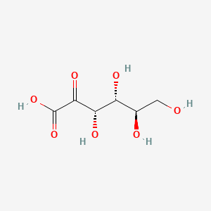 molecular formula C6H10O7 B1212593 2-dehydro-D-gluconic acid CAS No. 669-90-9