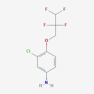 molecular formula C9H8ClF4NO B12126221 3-Chloro-4-(2,2,3,3-tetrafluoropropoxy)aniline CAS No. 937606-81-0