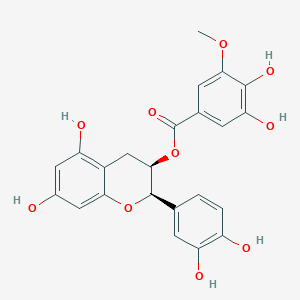Epicatechin 3-O-(3-O-methylgallate)