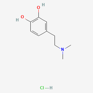 molecular formula C10H16ClNO2 B1213033 N,N-Dimethyldopamine hydrochloride CAS No. 13075-91-7