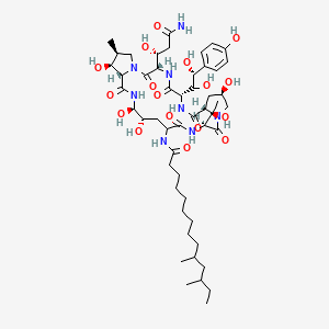 molecular formula C51H82N8O17 B1213145 Cyclo[threonyl-(4-hydroxyprolyl)-(3,4-dihydroxyhomotyrosyl)-(3-hydroxyglutaminyl)-(3-hydroxy-4-methylprolyl)-Ngamma-(4,5-dihydroxyornithine)]-Nalpha-(10,12-dimethyltetradecanoylamide) 