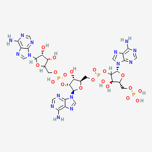 B1213165 Oligoadenylate CAS No. 61172-40-5