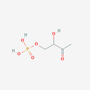 molecular formula C4H9O6P B1213201 2-Hydroxy-3-oxobutyl phosphate CAS No. 114155-98-5