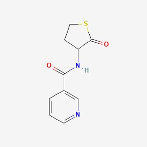 molecular formula C10H10N2O2S B1213339 N-(Tetrahydro-2-oxo-3-thienyl)-3-pyridinecarboxamide CAS No. 55316-22-8